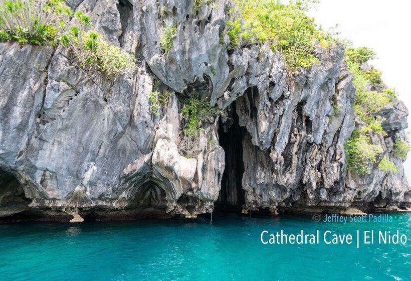 پانسیون Swiftlets Inn