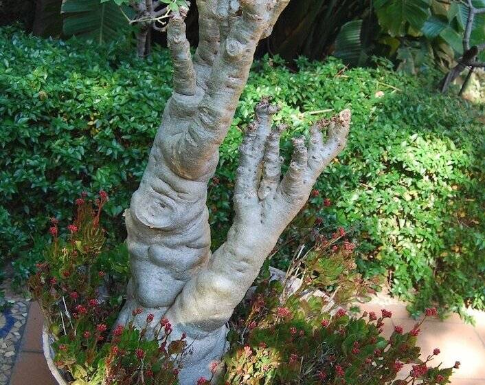 פנסיון The Wardrobe Guest House