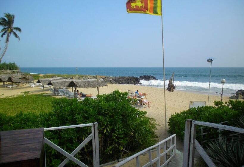 منتجع Little Pumpkin Cabanas