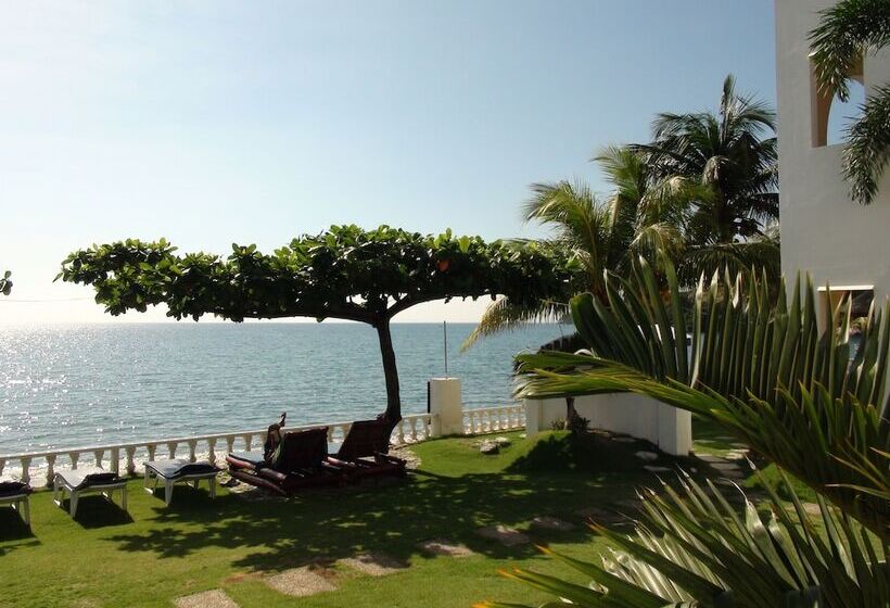 Squares Cafe And Apartments