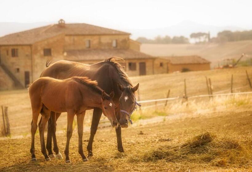 Agriturismi Farina