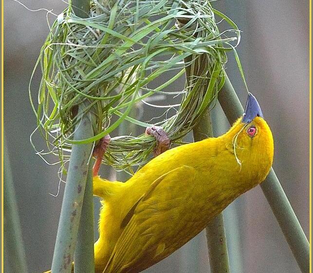 住宿加早餐  Aquanzi Lodge
