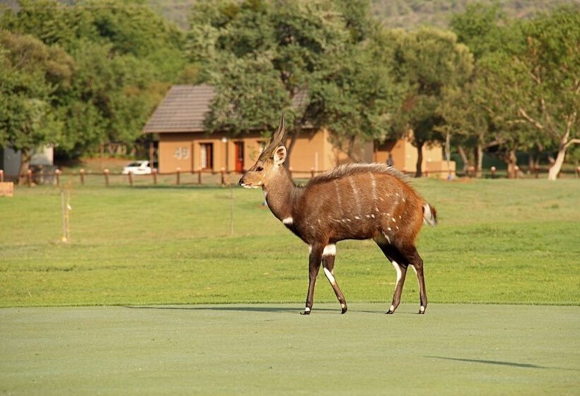 First Group Magalies Park