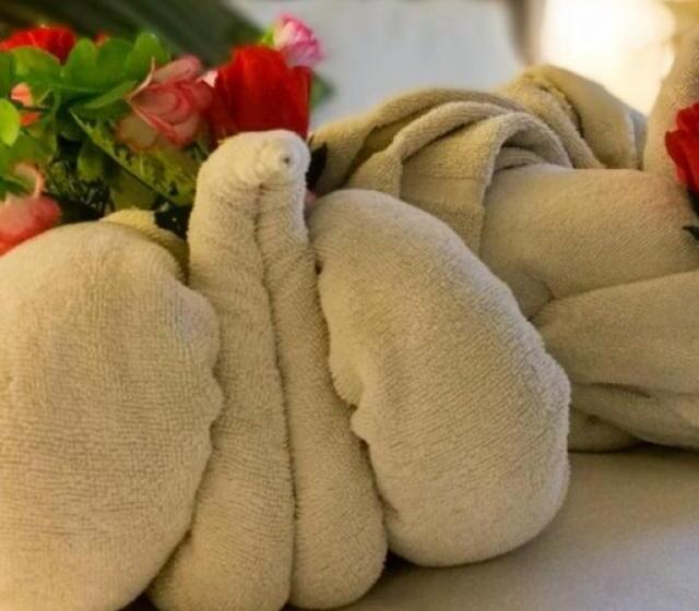 酒店 Africa House Zanzibar