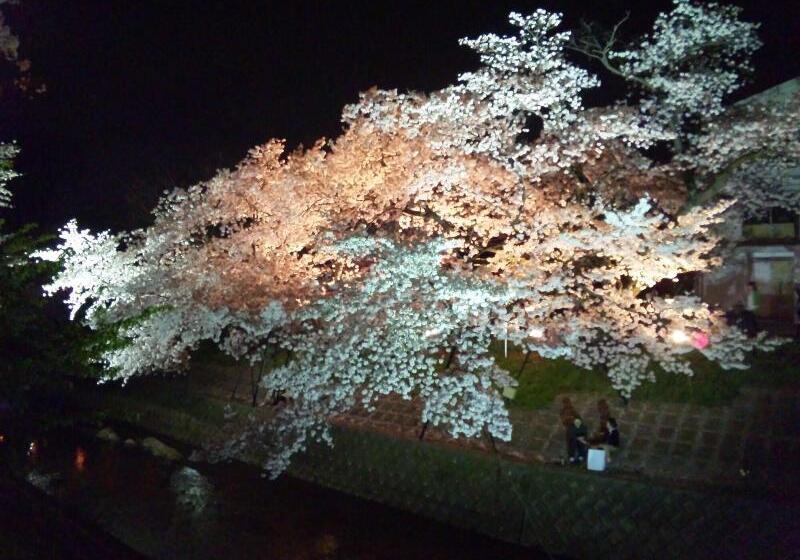 호텔 Allamanda大人の隠れ家リゾート