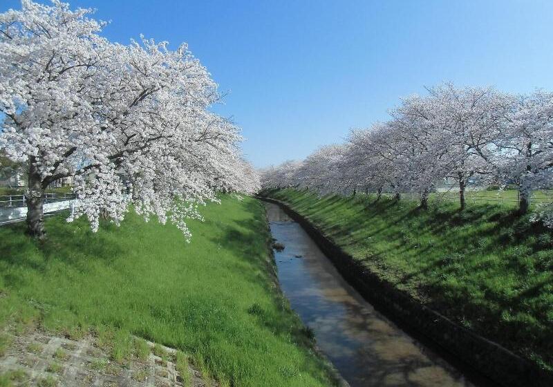 호텔 Allamanda大人の隠れ家リゾート