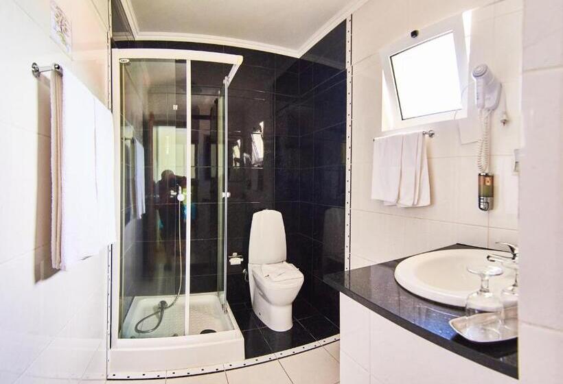 Отель Alojamento Bela Vista