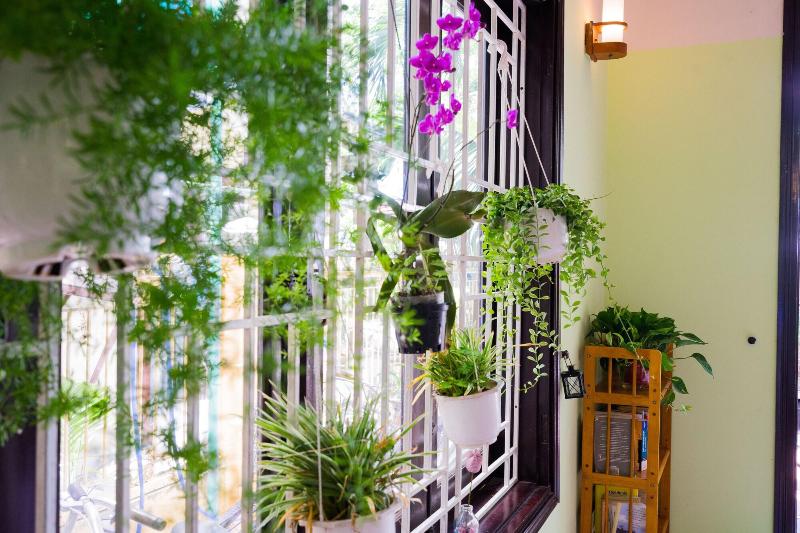 هتل An Hiên Homestay Hội An