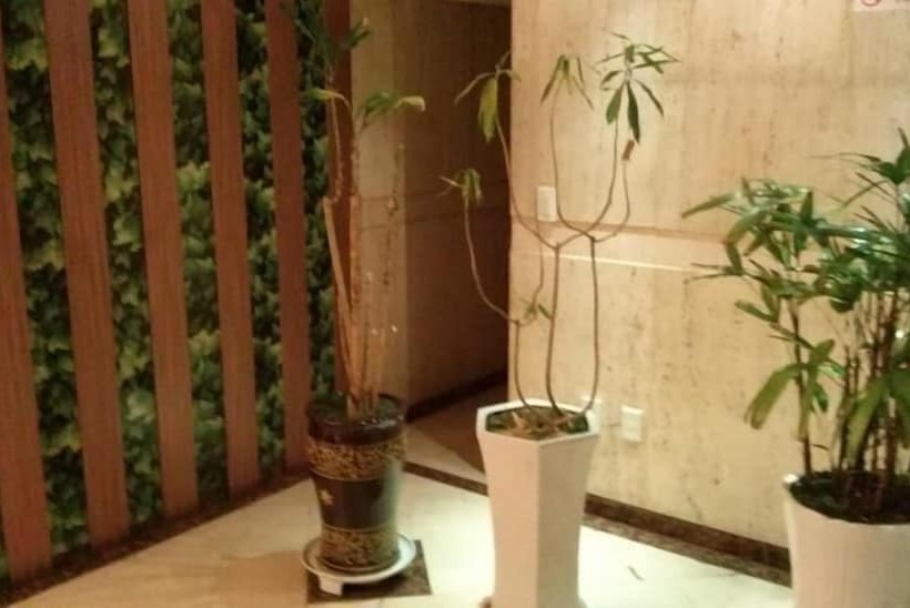 호텔 Apsan Business