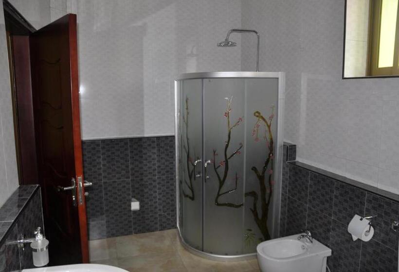 هتل Biraj International