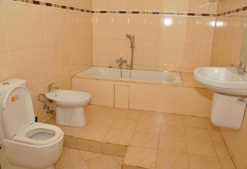 هتل Biraj International