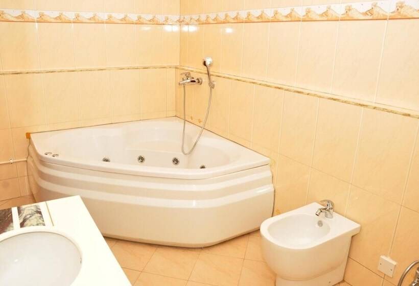 هتل Biraj International