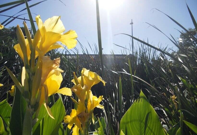 ホテル Blue Bay Lodge