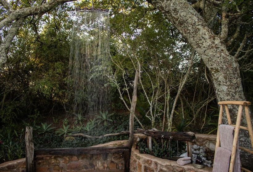 Отель Camp Figtree