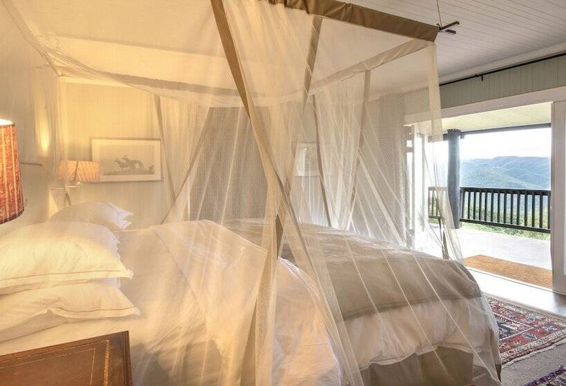 Отель Camp Figtree