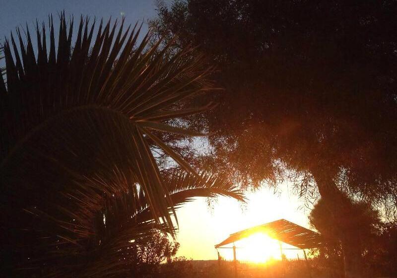 ホテル Complexe Touristique Sidi Salem