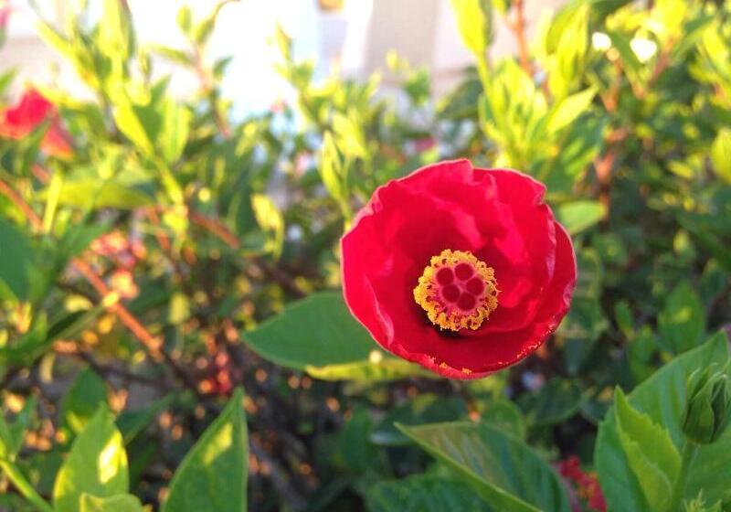 ホテル Complexe Touristique Sidi Salem