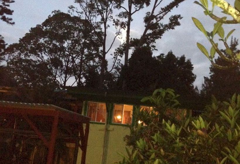 فندق The Enchanted Gardens Rainforest Bed & Breakfast