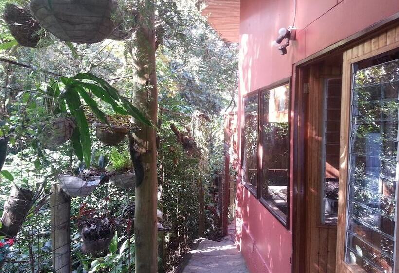 בית מלון כפרי Forest Dreams Manakin