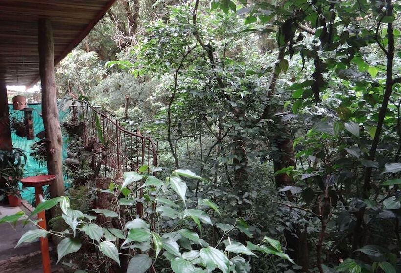 בית מלון כפרי Forest Dreams Manakin