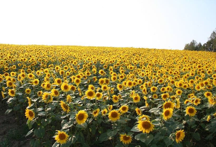 ホテル Furano Natulux