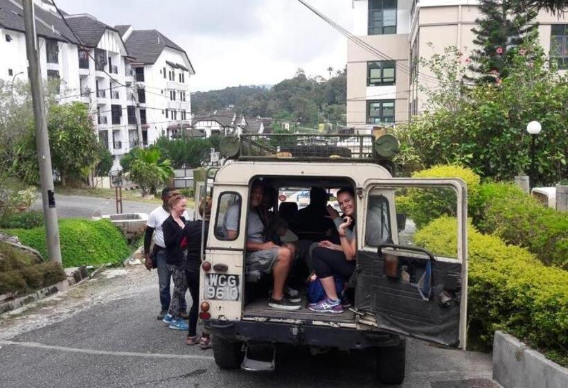 בית מלון כפרי Hillview Inn