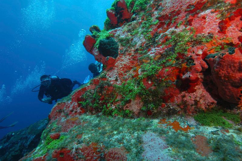 ホテル Pousada Do Bita