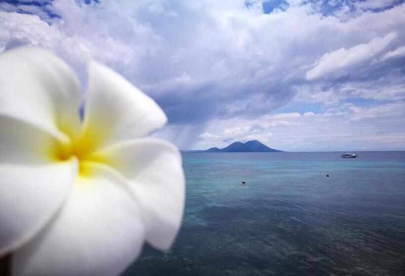 ホテル Rapopo Plantation Resort