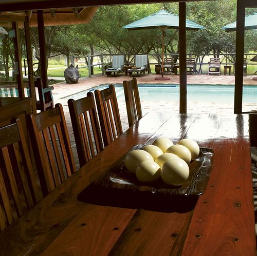 호텔 Serondella Game Lodge