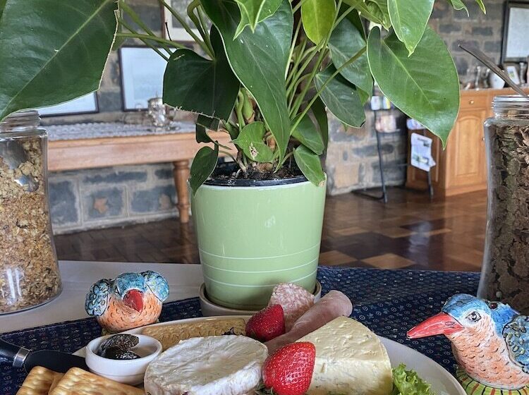 בית מלון כפרי Spion Kop Lodge