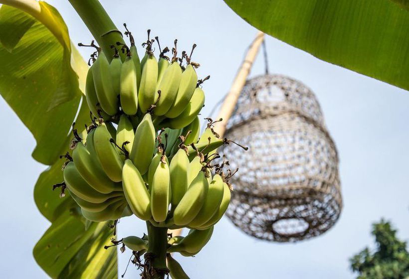 Le Flamboyant Resort