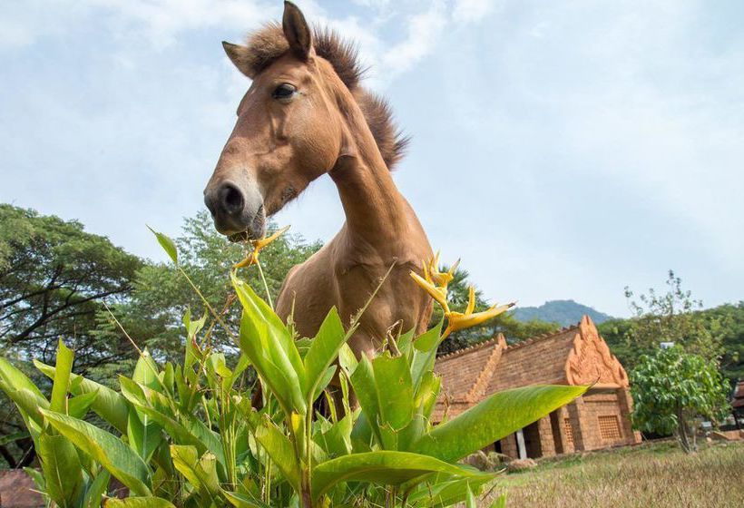 Le Flamboyant Resort