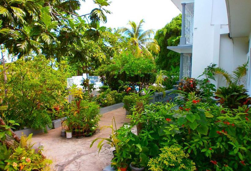 Palm View Guesthouse And Conference Centre