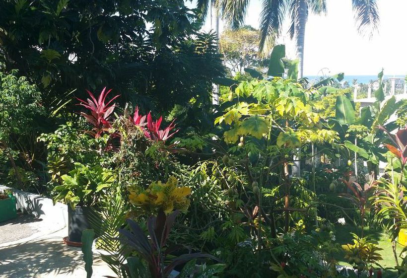 Palm View Guesthouse And Conference Centre