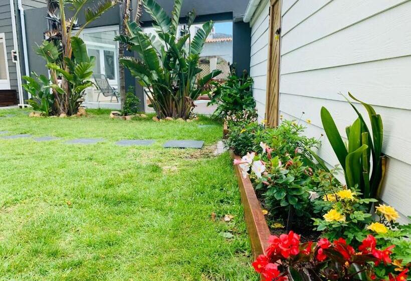 بنسيون Abington Manor Fish Hoek Guesthouse