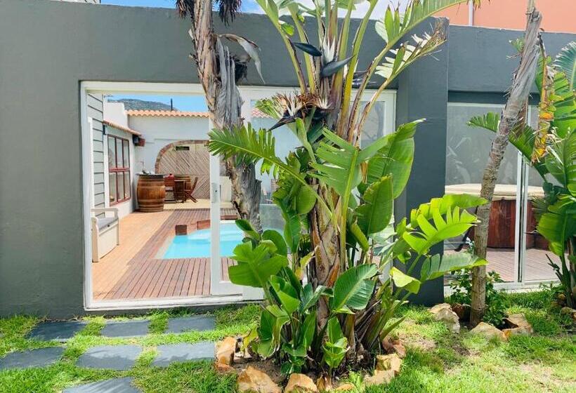 بنسيون Abington Manor Fish Hoek Guesthouse