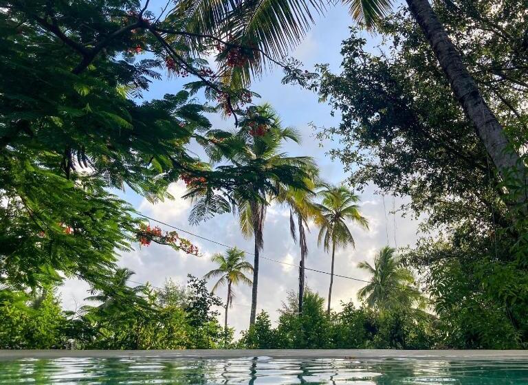 بنسيون Bellevue Zanzibar