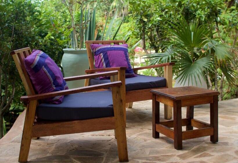 بنسيون Bellevue Zanzibar