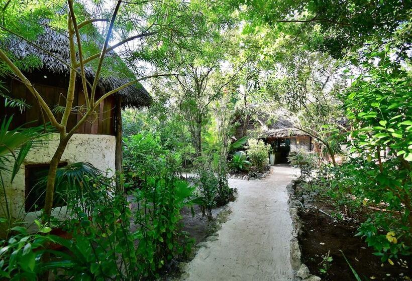 بنسيون Bellevue Zanzibar