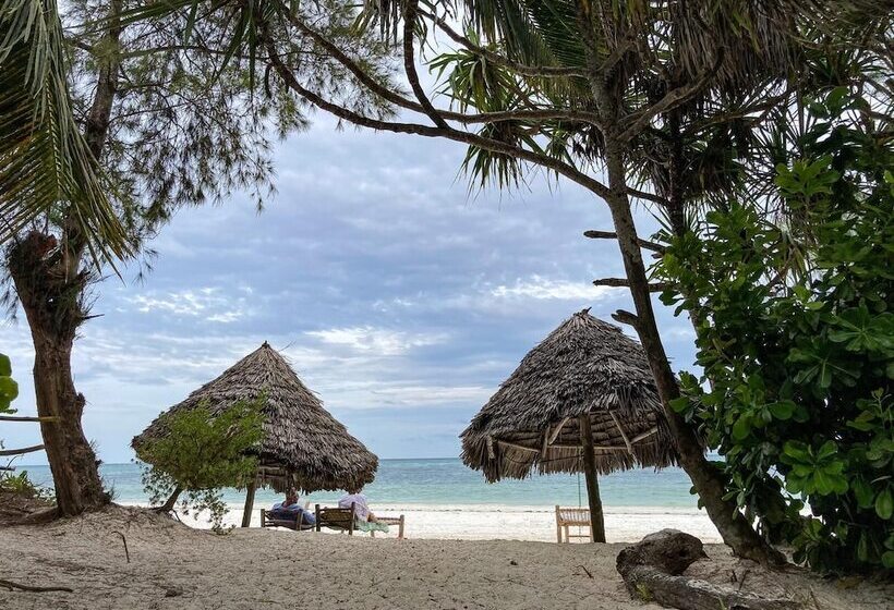 פנסיון Bellevue Zanzibar