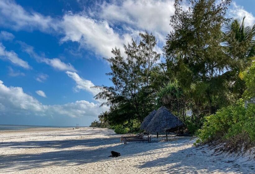 بنسيون Bellevue Zanzibar