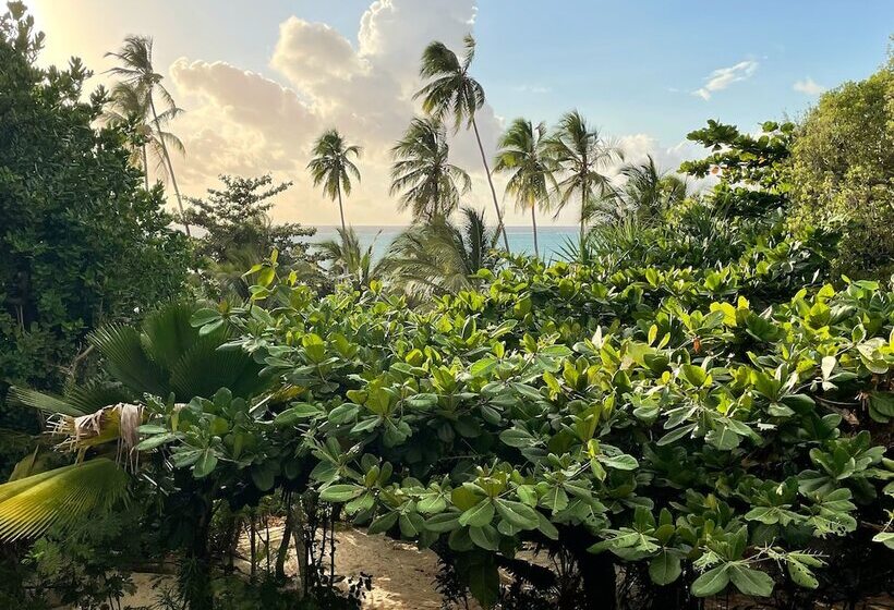 بنسيون Bellevue Zanzibar