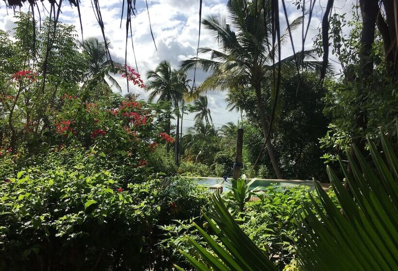 بنسيون Bellevue Zanzibar