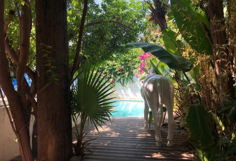 پانسیون Dar Marsa Cubes