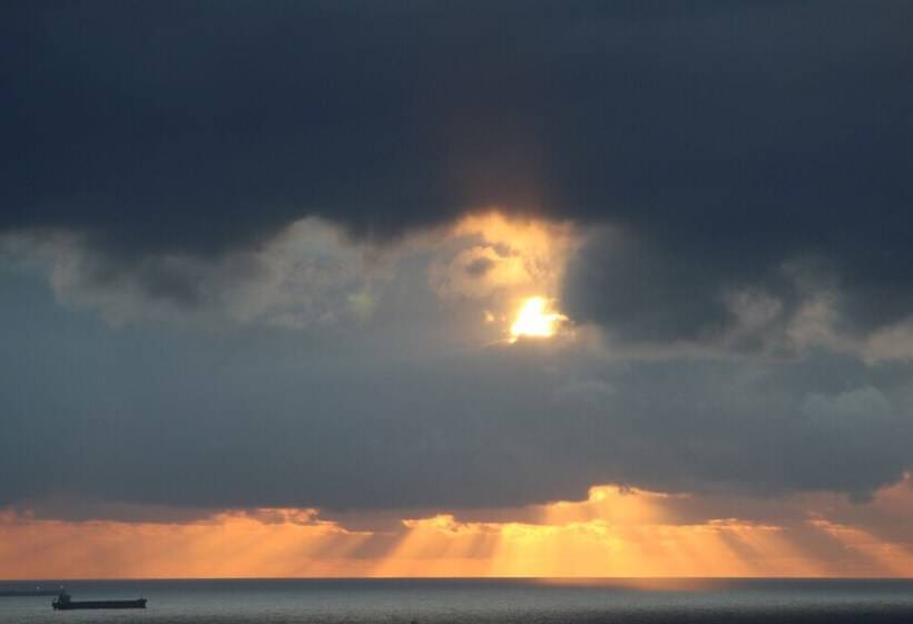 Пансион Milkwood Mansion