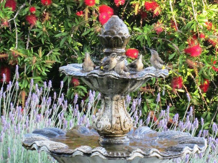 膳宿费 Von Abercron Residence