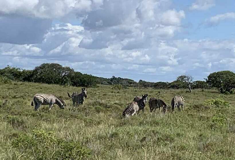 Perna Perna Lodge St Lucia