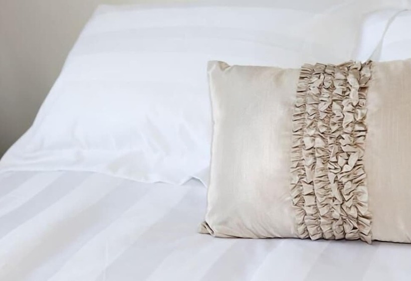 Albany Central Apartments