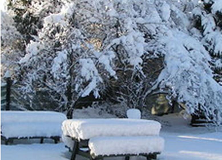 호스텔 Jack In The Green Garden Rooms