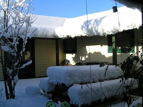 호스텔 Jack In The Green Garden Rooms